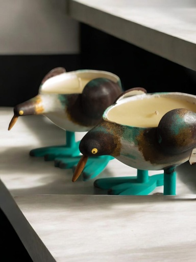 Totumo Candles. Ref. Colombian Birds